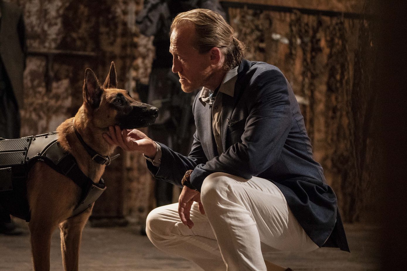 John Wick Parabellum, critique, avis, review sur le film, Berrada (Jason Flynn) avec un des chiens de Sofia (Halle Berry)