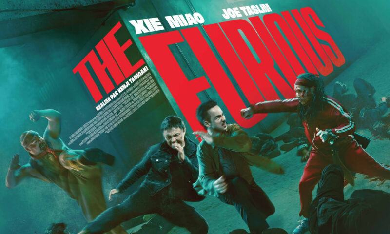 THE FURIOUS : Le film d’arts martiaux le plus couillu de l’année se dévoile !