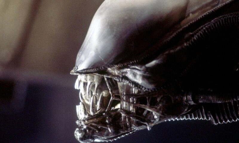 Alien : Aaron Guzikowski écrit un nouveau film, Ridley Scott reste à la production